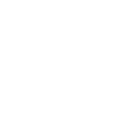 Pineapple Roofing
